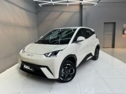 BYD Dolphin Mini EV 2027