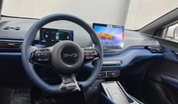 
									BYD Dolphin Mini EV 2027 full								