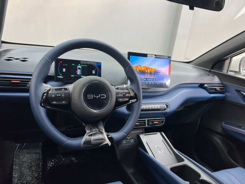 
								BYD Dolphin Mini EV 2027 full									