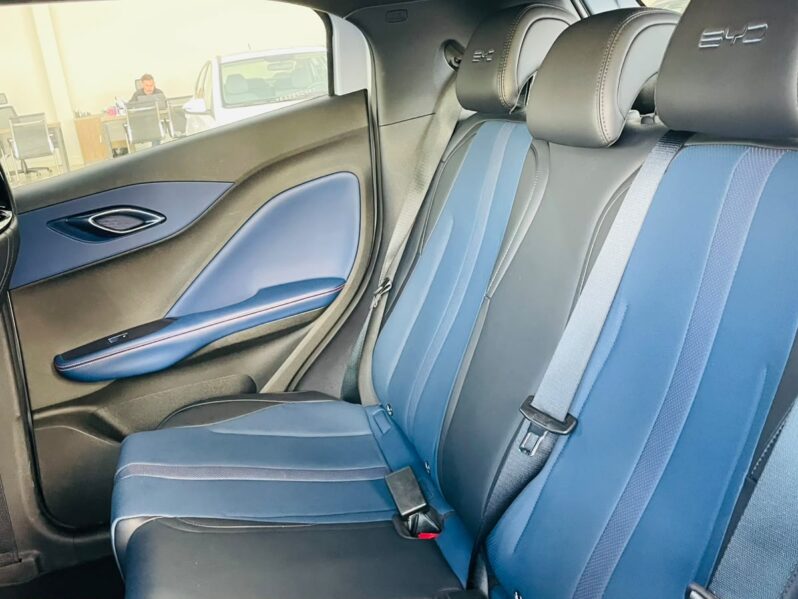 
								BYD Dolphin Mini EV 2026 full									