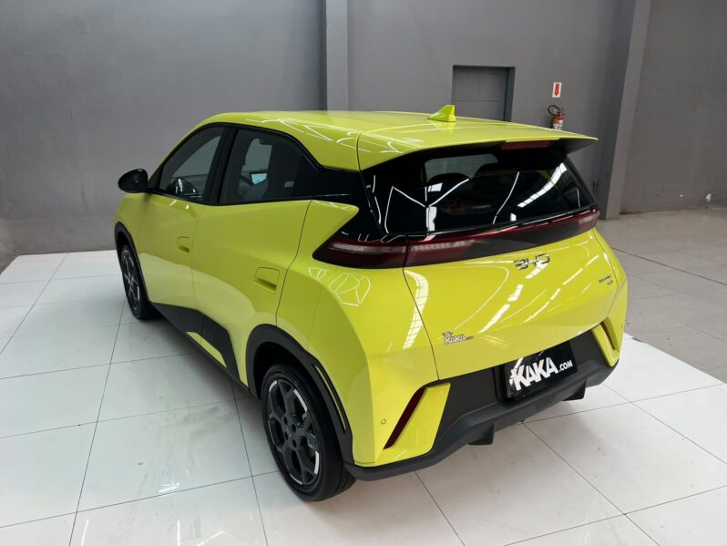 
								BYD Dolphin Mini EV 2026 full									