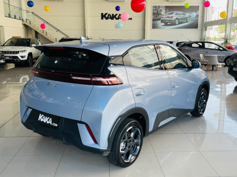 
								BYD Dolphin Mini GS EV 2027 full									