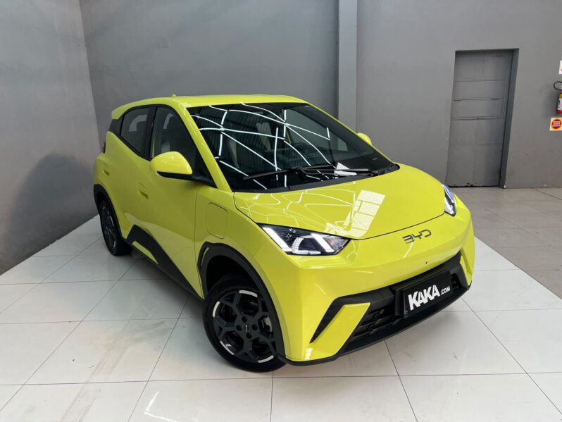 
								BYD Dolphin Mini EV 2026 full									