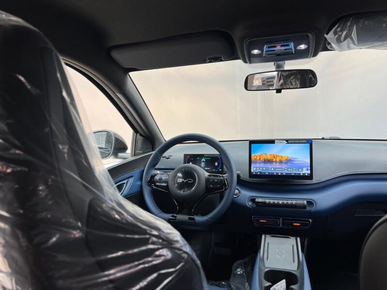 
								BYD Dolphin Mini GS EV 2027 full									