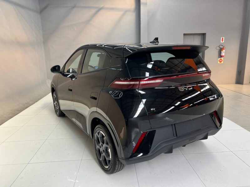 
								BYD Dolphin Mini GS EV 2027 full									