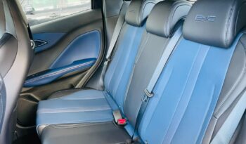 
									BYD Dolphin Mini GS EV 2027 full								