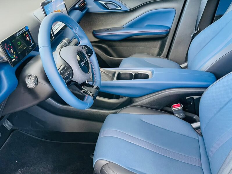 
								BYD Dolphin Mini GS EV 2027 full									